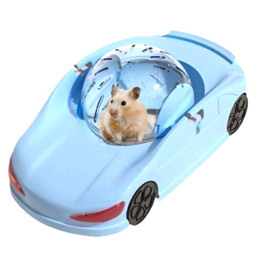Hamster running ball small pet - hamster,
