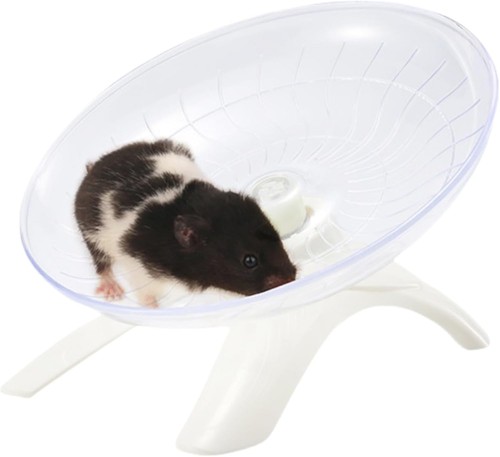 Silent hamster wheel - hamster,