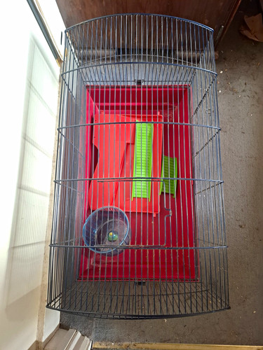 Large hamster wire - wire, red