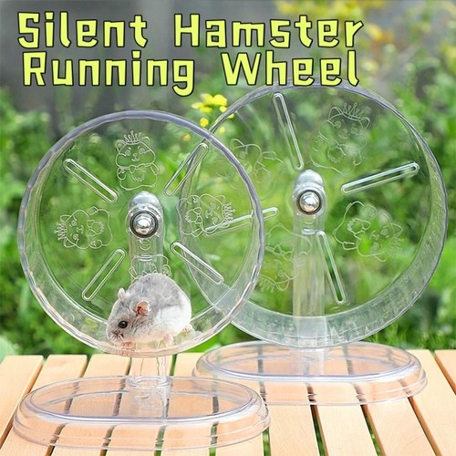 Hamster running wheel pets - running,