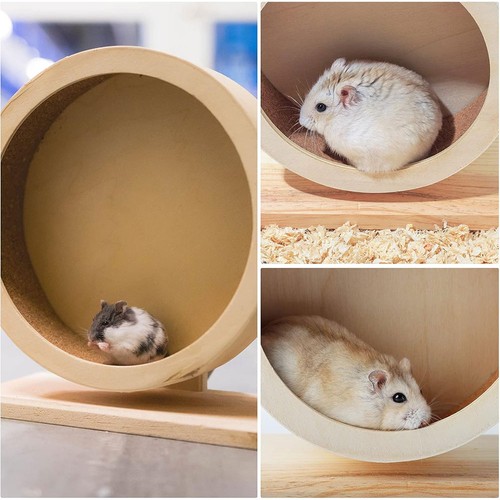 Wooden hamster exercise wheel - wooden,