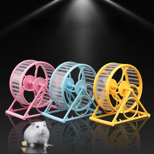 Wheel running exercise - exercise, scroll