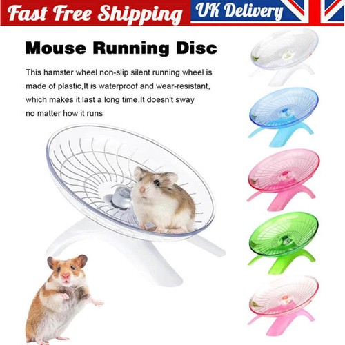 Pet hamster flying saucer - pet,