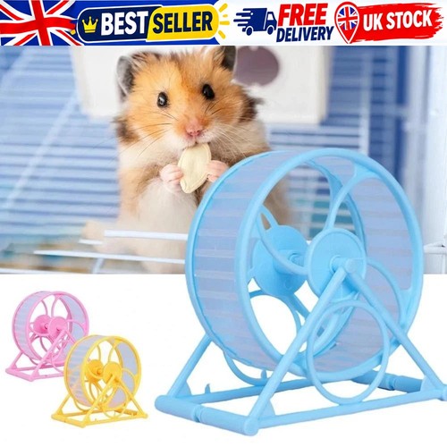 Silent hamster exercise wheel - exercise,