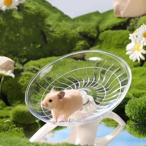 Small pet wheel silent - pet,