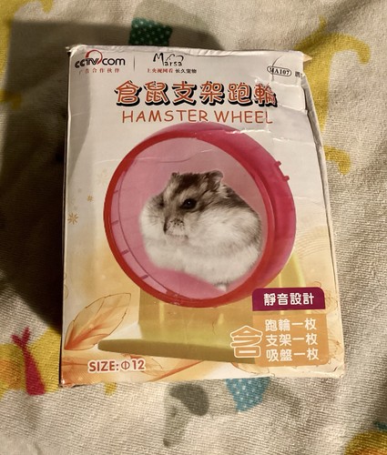 Small hamster wheel - small,