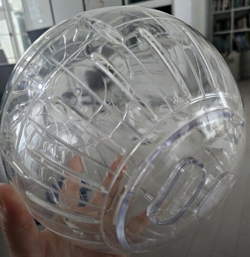Clear plastic hamster exercise - clear,