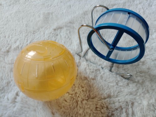 Exercise hamster wheel plastic - hamster,