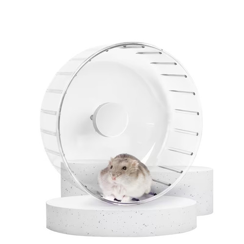 Quiet jumbo hamster running - jumbo,