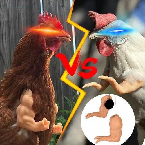 Set fight chicken arm - 2,