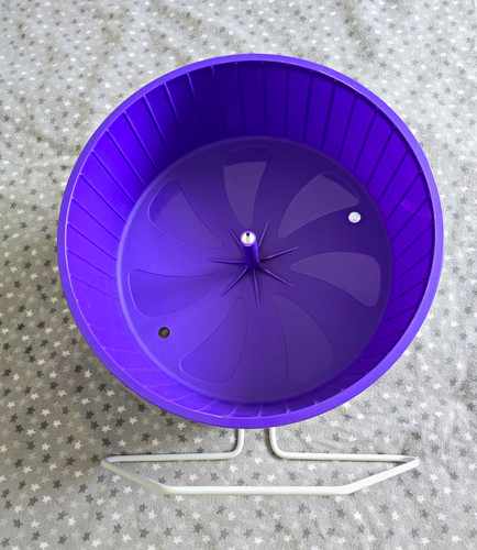 12inch purple plastic exercise - plastic,