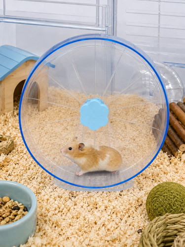 Hamster wheel super silent - wheel, super-silent
