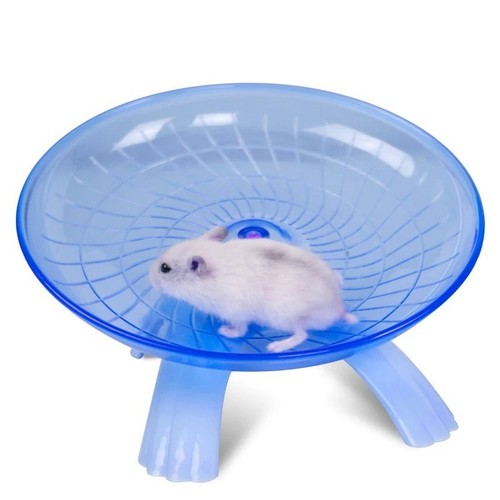 Running disc pet hamster - disc,