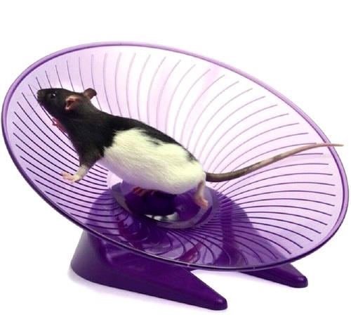 Fly saucer wheel sml - wheel, sml,