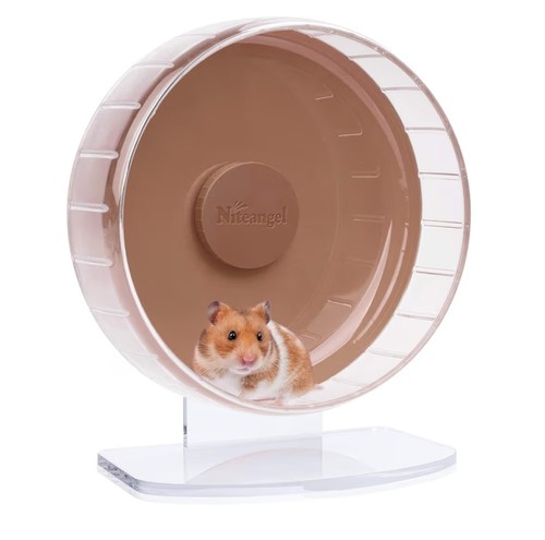 Silent hamster exercise - hamster,